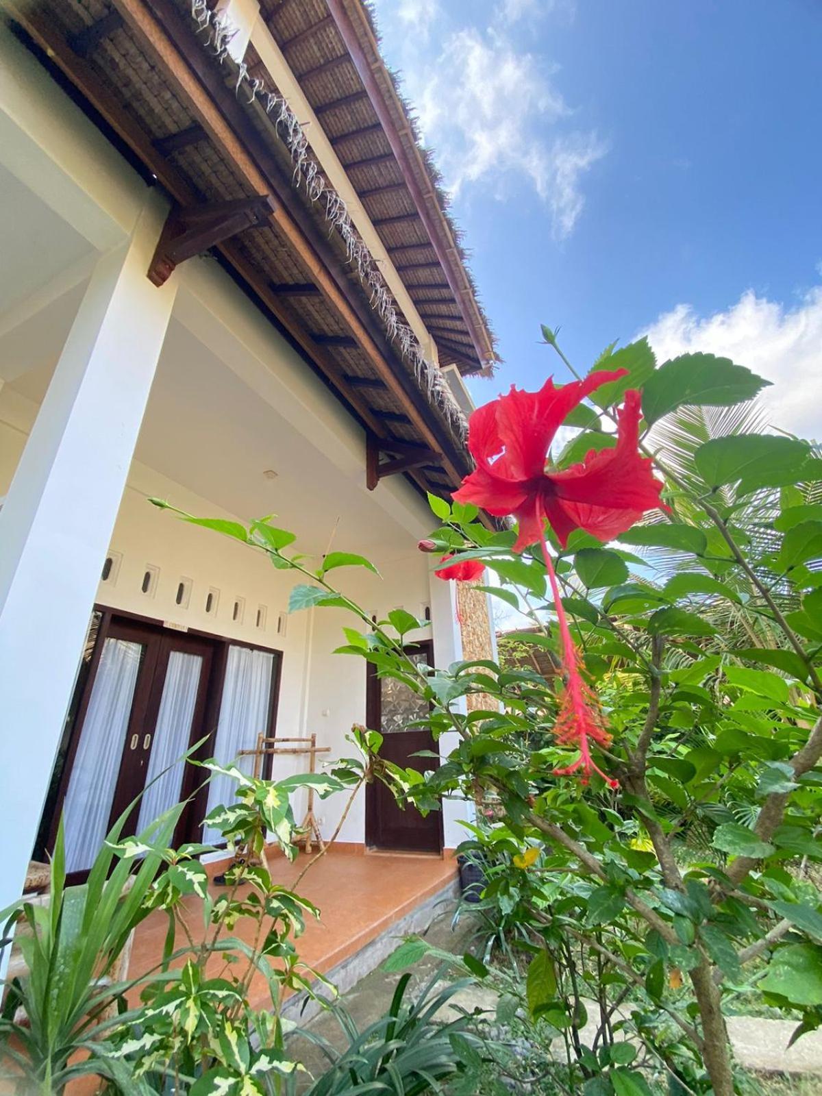Cewin'S Homestay Kuta  Quarto foto